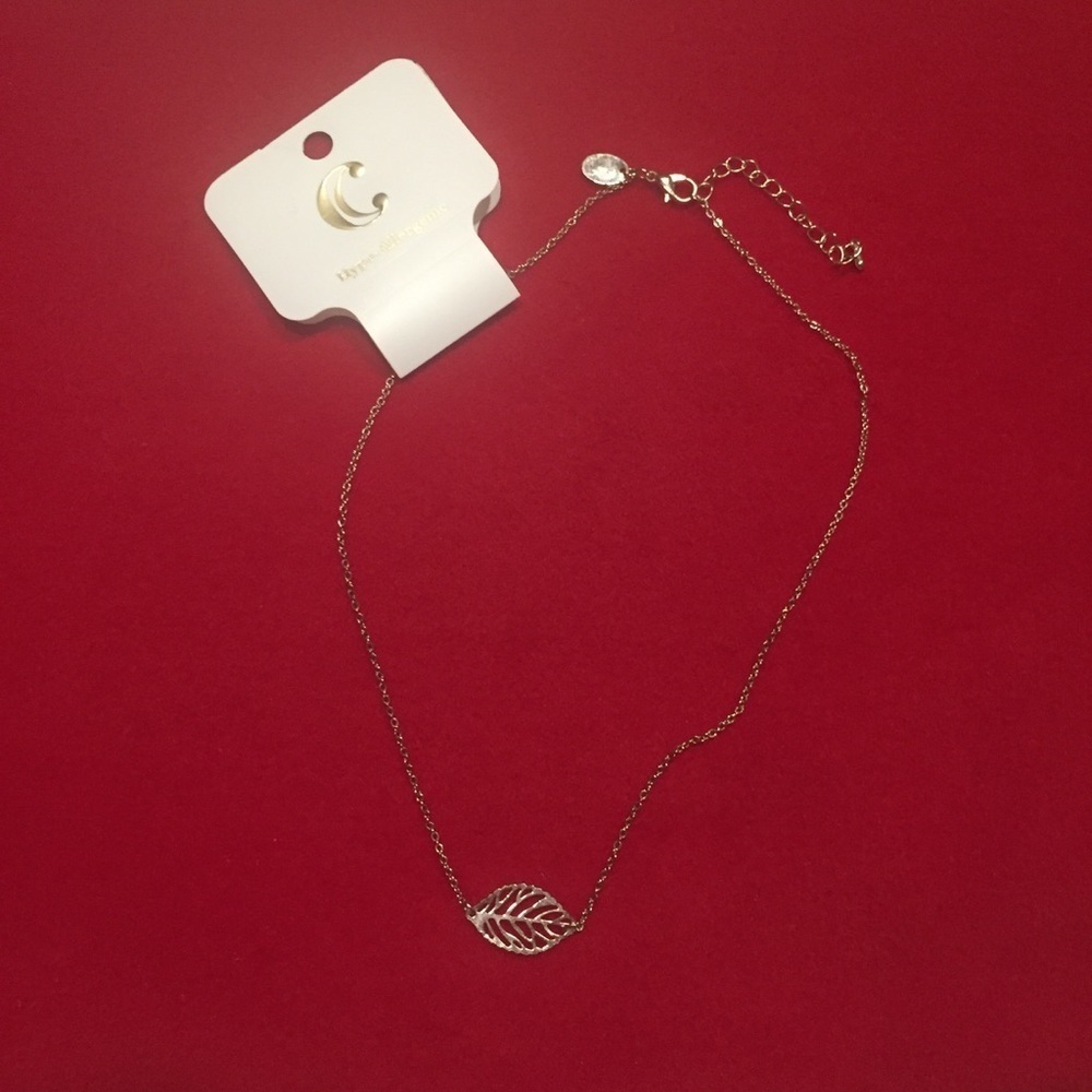 Charming Charlie Silver Leaf Necklace​​​
